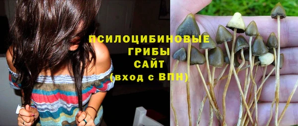 а пвп мука Алексин