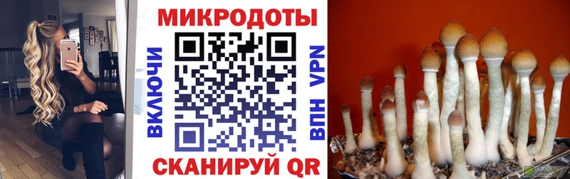 Псилоцибиновые грибы MAGIC MUSHROOMS Джанкой